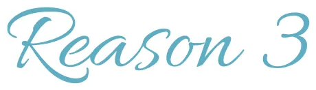 Reason3